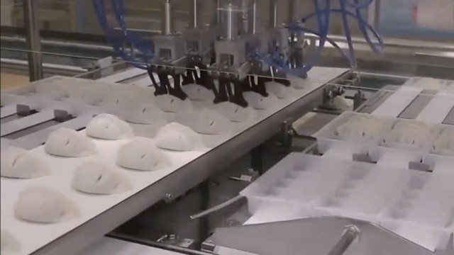 全自動(dòng)時(shí)代——中國(guó)的無(wú)人工廠(chǎng) 自動(dòng)化的帝國(guó)——中國(guó)的無(wú)人工廠(chǎng)